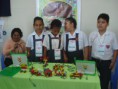 /album/concurso-de-robotica-educativa/dsc00539-jpg/